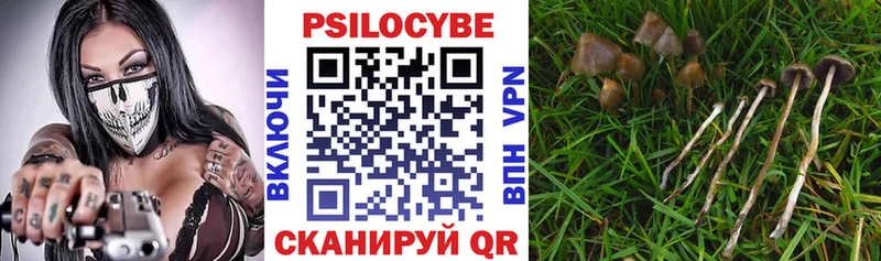 Псилоцибиновые грибы MAGIC MUSHROOMS  Купить где  Серов 
